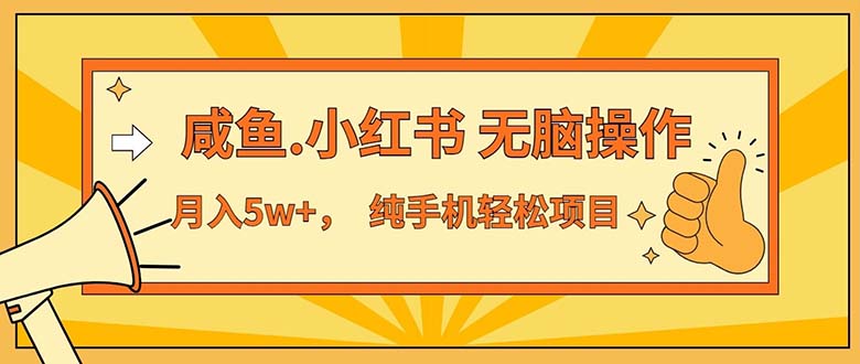 （11524期）2024最赚钱的项目，咸鱼，小红书无脑操作，每单利润500+，轻松月入5万+…-叮当猫聊项目