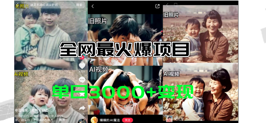 （11546期）全网爆火的AI让老照片动起来教程，蹭热点日赚3000+，内含免费工具一键…-叮当猫聊项目