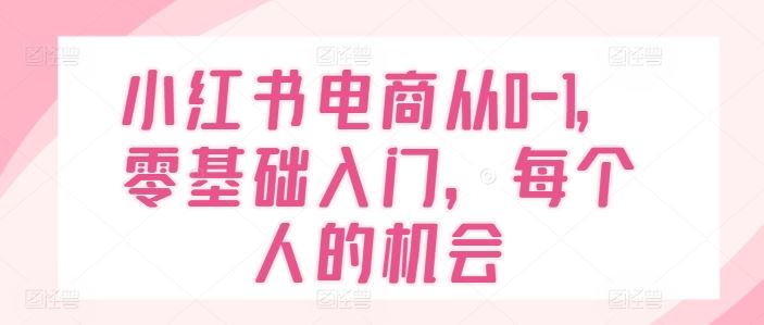 小红书电商从0-1，零基础入门，每个人的机会-叮当猫聊项目