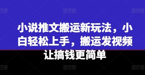 小说推文搬运新玩法，小白轻松上手，搬运发视频让搞钱更简单-叮当猫聊项目