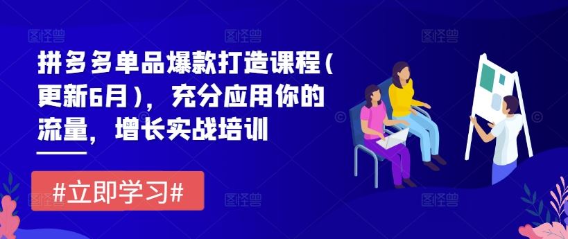 拼多多单品爆款打造课程(更新6月)，充分应用你的流量，增长实战培训-叮当猫聊项目