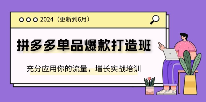 （11556期）2024拼多多-单品爆款打造班(更新6月)，充分应用你的流量，增长实战培训-叮当猫聊项目