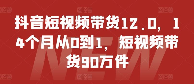 抖音短视频带货12.0，14个月从0到1，短视频带货90万件-叮当猫聊项目