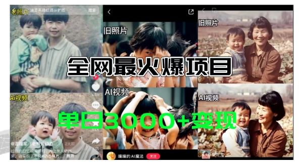 全网爆火的AI让老照片动起来教程，蹭热点日赚3k+，内含免费工具一键可生成【揭秘】-叮当猫聊项目