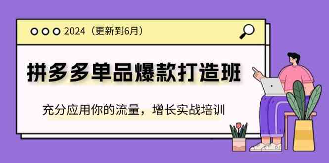 2024拼多多单品爆款打造班，充分应用你的流量，增长实战培训(更新6月)-叮当猫聊项目
