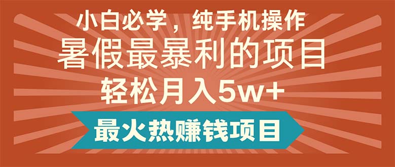 （11583期）小白必学，纯手机操作，暑假最暴利的项目轻松月入5w+最火热赚钱项目-叮当猫聊项目