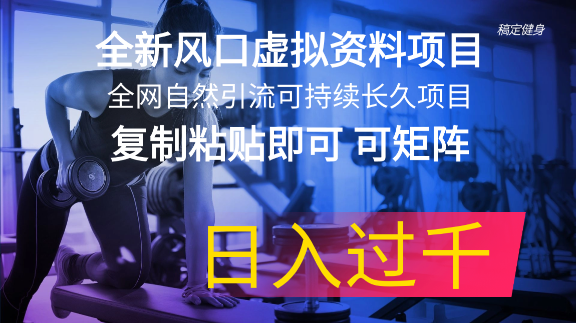（11587期）全新风口虚拟资料项目 全网自然引流可持续长久项目 复制粘贴即可可矩阵…-叮当猫聊项目