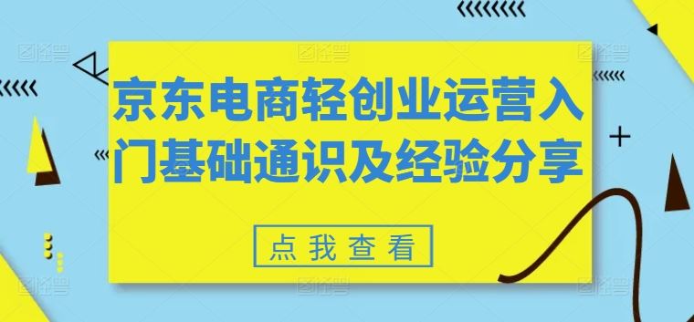 京东电商轻创业运营入门基础通识及经验分享-叮当猫聊项目