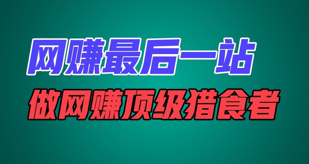 网赚最后一站，卖项目，做网赚顶级猎食者-叮当猫聊项目