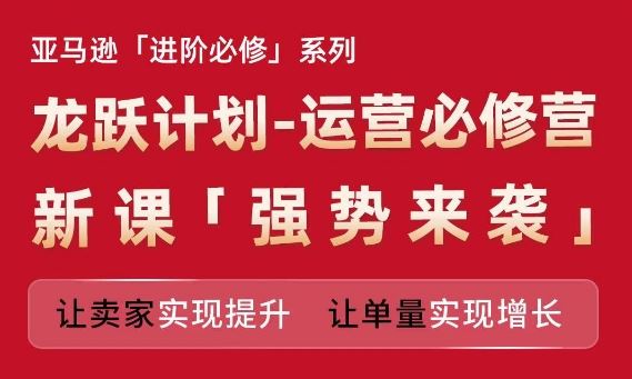 亚马逊进阶必修系列，龙跃计划-运营必修营新课，让卖家实现提升 让单量实现增长-叮当猫聊项目