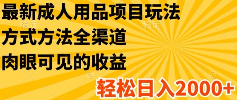 最新成人用品项目玩法，方式方法全渠道，轻松日入2K+【揭秘】-叮当猫聊项目