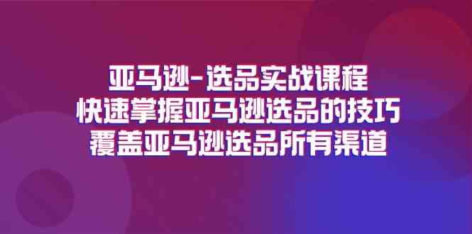 亚马逊选品实战课程，快速掌握亚马逊选品的技巧，覆盖亚马逊选品所有渠道-叮当猫聊项目