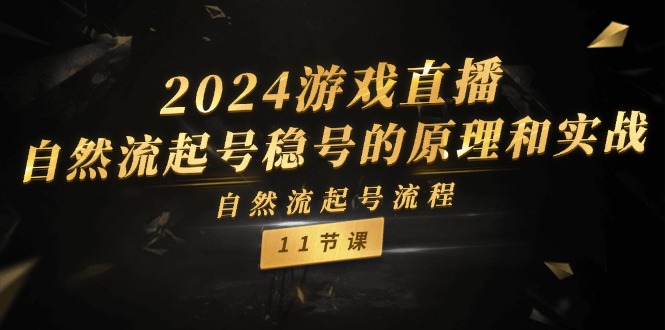 （11653期）2024游戏直播-自然流起号稳号的原理和实战，自然流起号流程（11节）-叮当猫聊项目