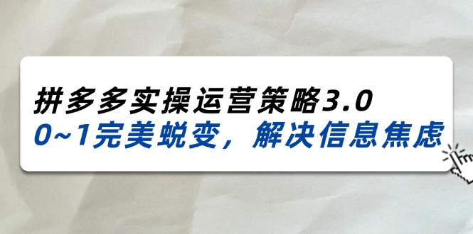 （11658期）2024_2025拼多多实操运营策略3.0，0~1完美蜕变，解决信息焦虑（38节）-叮当猫聊项目