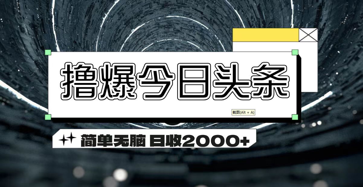 （11665期）撸爆今日头条 简单无脑操作 日收2000+-叮当猫聊项目