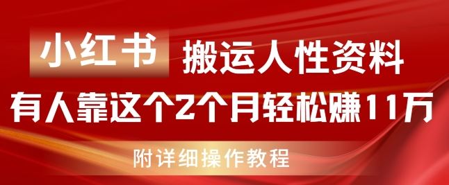 小红书搬运人性资料，有人靠这个2个月轻松赚11w，附教程【揭秘】-叮当猫聊项目