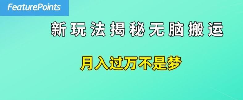 简单操作，每天50美元收入，搬运就是赚钱的秘诀【揭秘】-叮当猫聊项目