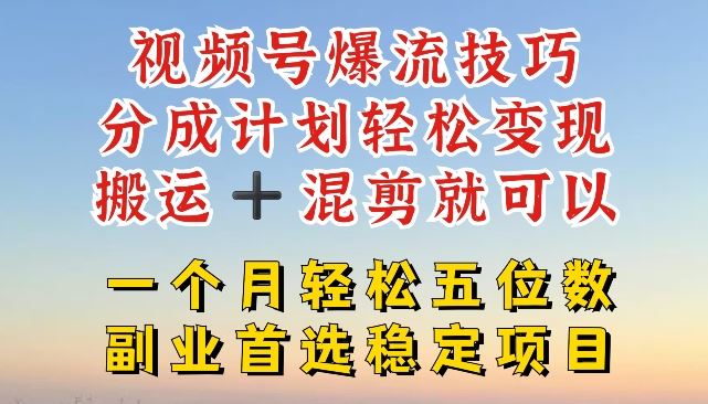 视频号爆流技巧，分成计划轻松变现，搬运 +混剪就可以，一个月轻松五位数稳定项目【揭秘】-叮当猫聊项目