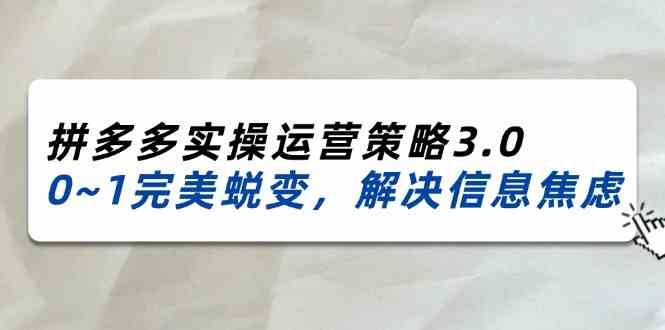 2024-2025拼多多实操运营策略3.0，0~1完美蜕变，解决信息焦虑（38节）-叮当猫聊项目