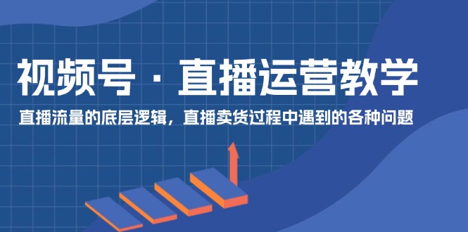 （11687期）视频号 直播运营教学：直播流量的底层逻辑，直播卖货过程中遇到的各种问题-叮当猫聊项目