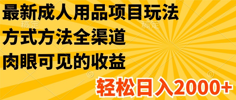 最新成人用品项目玩法，方式方法全渠道，肉眼可见的收益，轻松日入2000+-叮当猫聊项目