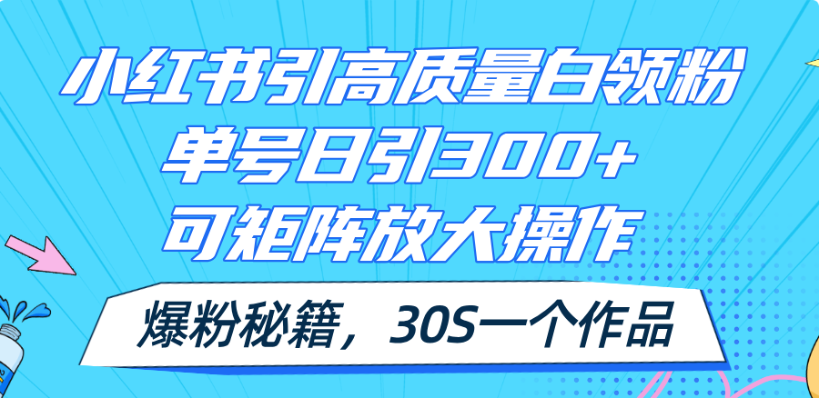 （11692期）小红书引高质量白领粉，单号日引300+，可放大操作，爆粉秘籍！30s一个作品-叮当猫聊项目