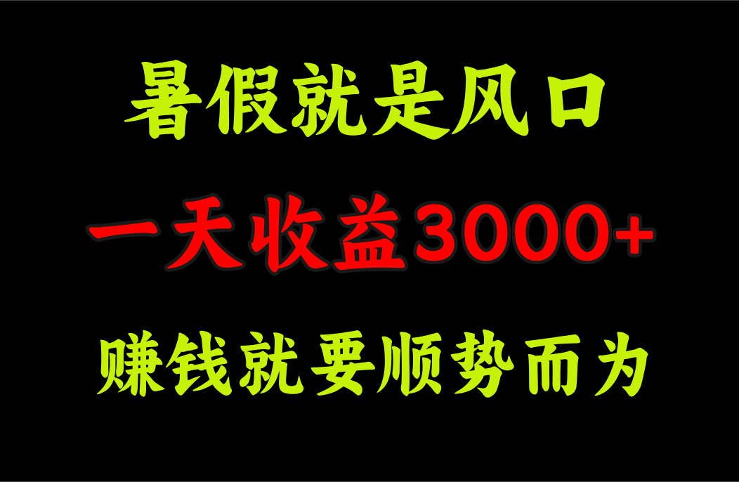 （11670期）一天收益3000+ 赚钱就是顺势而为，暑假就是风口-叮当猫聊项目