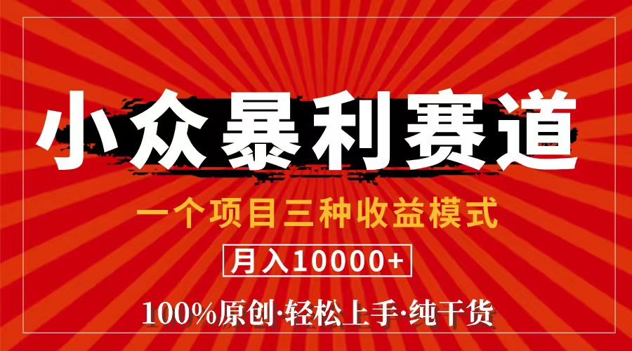 （11695期）视频号【中老年粉深信不疑】小众赛道 100%原创 手把手教学 新号3天收益…-叮当猫聊项目