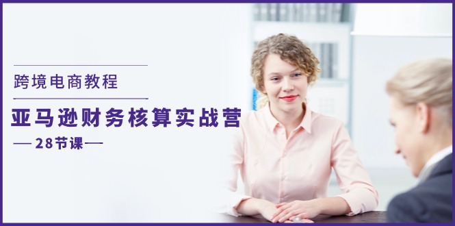 （11706期）跨境电商教程：亚马逊-财务核算实战营（28节课）-叮当猫聊项目