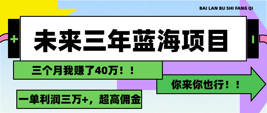 （11716期）未来三年，蓝海赛道，月入3万+-叮当猫聊项目