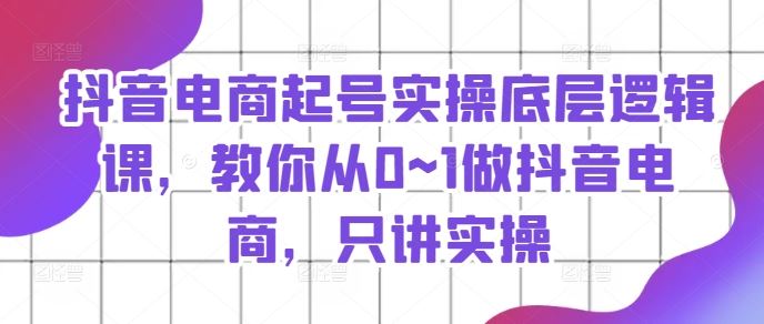 抖音电商起号实操底层逻辑课，教你从0~1做抖音电商，只讲实操-叮当猫聊项目