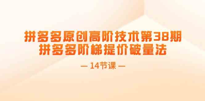 拼多多原创高阶技术第38期，拼多多阶梯提价破量法（14节课）-叮当猫聊项目