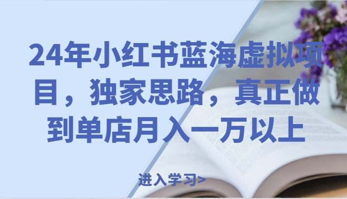 24年小红书蓝海虚拟项目，独家思路，真正做到单店月入一万以上。-叮当猫聊项目