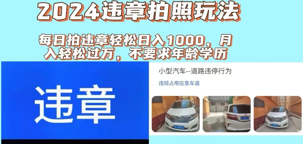 （11743期）2024违章拍照新玩法，推广躺赚+拍照赚钱双模式，日入1000+-叮当猫聊项目