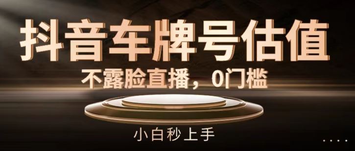 抖音车牌号估值，不露脸直播，0门槛，小白秒上手【揭秘】-叮当猫聊项目