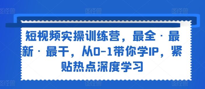 短视频实操训练营，最全·最新·最干，从0-1带你学IP，紧贴热点深度学习-叮当猫聊项目
