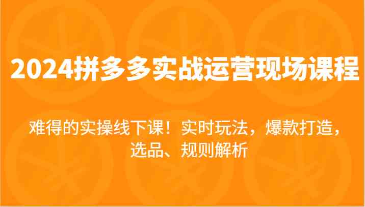 2024拼多多实战运营现场课，实时玩法，爆款打造，选品、规则解析，难得的实操线下课！-叮当猫聊项目
