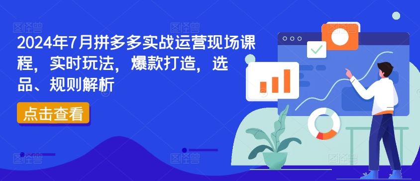 2024年7月拼多多实战运营现场课程，实时玩法，爆款打造，选品、规则解析-叮当猫聊项目