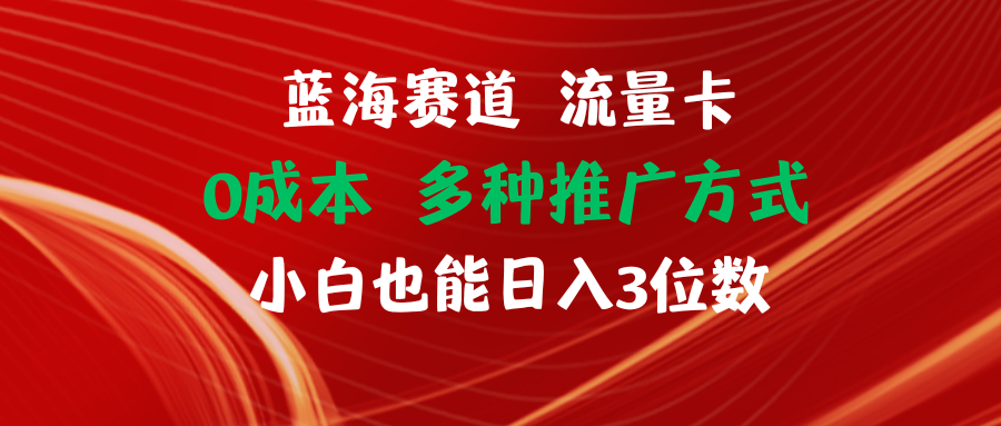 （11768期）蓝海赛道 流量卡 0成本 小白也能日入三位数-叮当猫聊项目