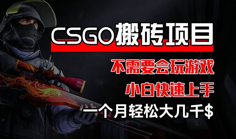 CSGO 装备搬砖项目，操作简单，不需要会玩游戏，小白也能快速上手，一个月轻松大几千【揭秘】-叮当猫聊项目