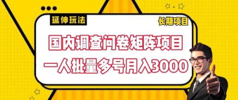 国内调查问卷矩阵项目，一人批量多号月入3000【揭秘】-叮当猫聊项目