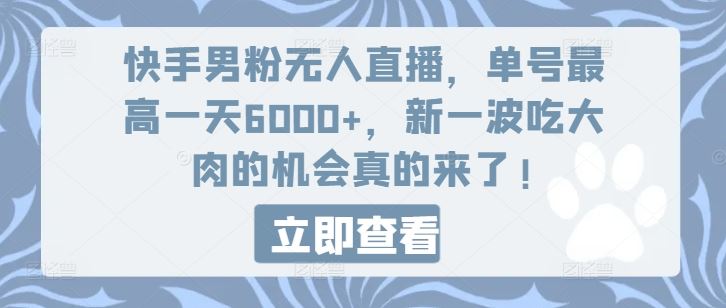 快手男粉无人直播，单号最高一天6000+，新一波吃大肉的机会真的来了-叮当猫聊项目