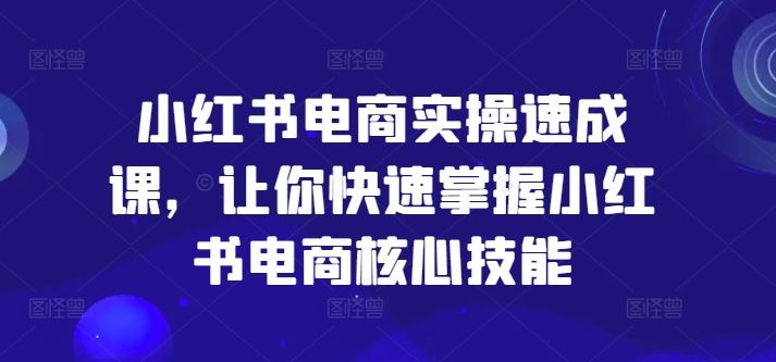 小红书电商实操速成课，让你快速掌握小红书电商核心技能-叮当猫聊项目