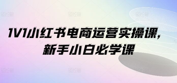 1V1小红书电商运营实操课，新手小白必学课-叮当猫聊项目
