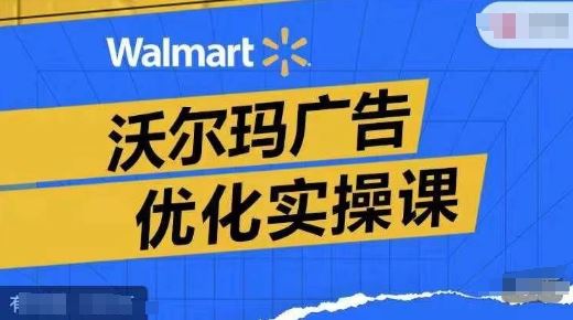 沃尔玛广告优化实操课，广告报告实操讲解，广告如何提高转化和ROAS等-叮当猫聊项目