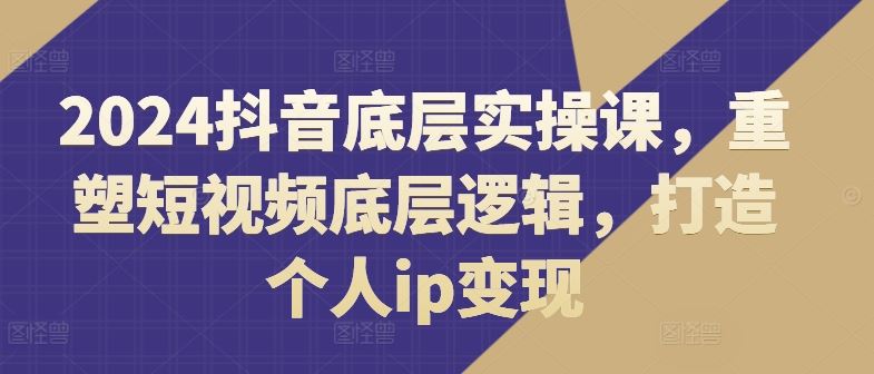 2024抖音底层实操课，​重塑短视频底层逻辑，打造个人ip变现-叮当猫聊项目
