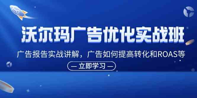 沃尔玛广告优化实战班，广告报告实战讲解，广告如何提高转化和ROAS等-叮当猫聊项目