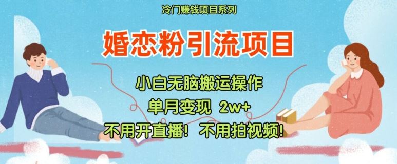 小红书婚恋粉引流，不用开直播，不用拍视频，不用做交付【揭秘】-叮当猫聊项目