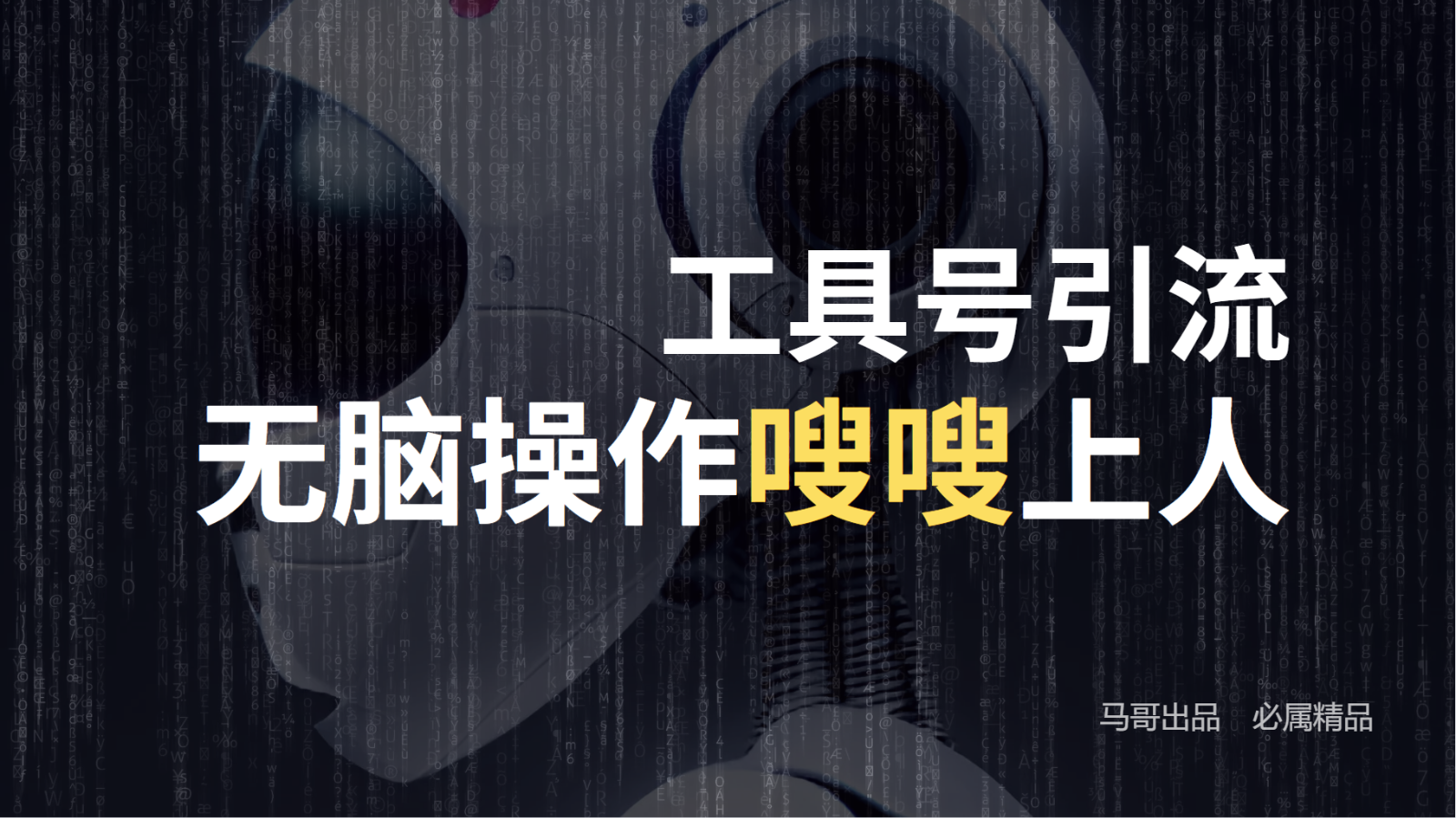工具号高效引流法，嗖嗖上人，日引1000+，直接搬运，无脑操作-叮当猫聊项目