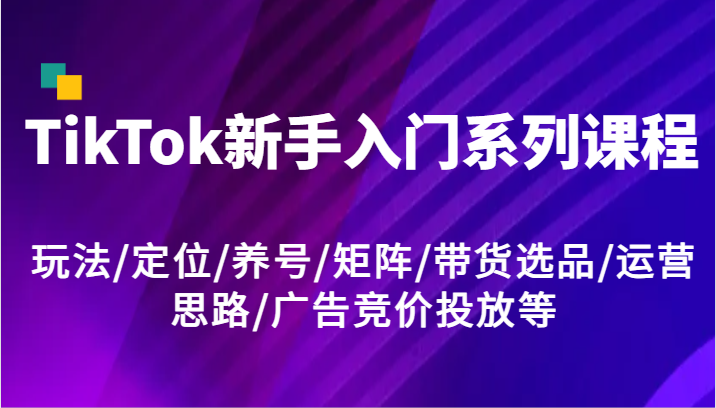 TikTok新手入门系列课程，玩法/定位/养号/矩阵/带货选品/运营思路/广告竞价投放等-叮当猫聊项目